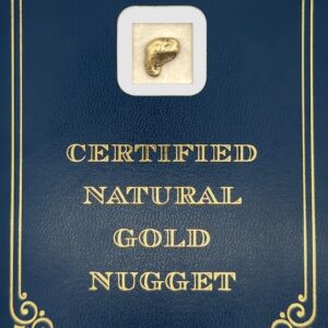 2.4 Gram Natural Gold Nugget from Chicken, Alaska