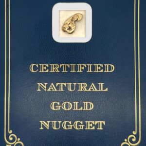 3.1 Gram Natural Gold Nugget from Chicken, Alaska
