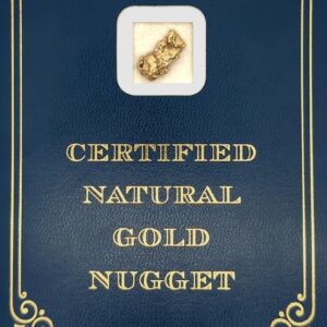 3.3 Gram Natural Gold Nugget from Valdez Creek, Alaska