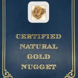4.9 Gram Natural Gold Nugget from Valdez Creek, Alaska
