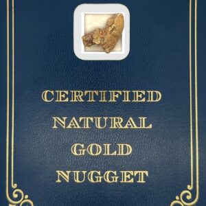 7.8 Gram Natural Gold Nugget from Coldfoot, Alaska