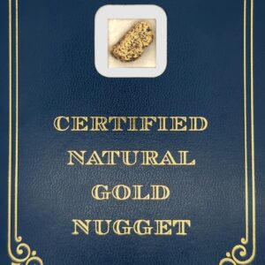 8.4 Gram Natural Gold Nugget from Hunter Creek, Alaska