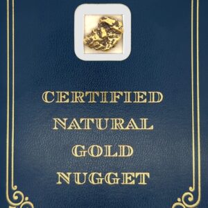8.6 Gram Natural Gold Nugget from Hunter Creek, Alaska