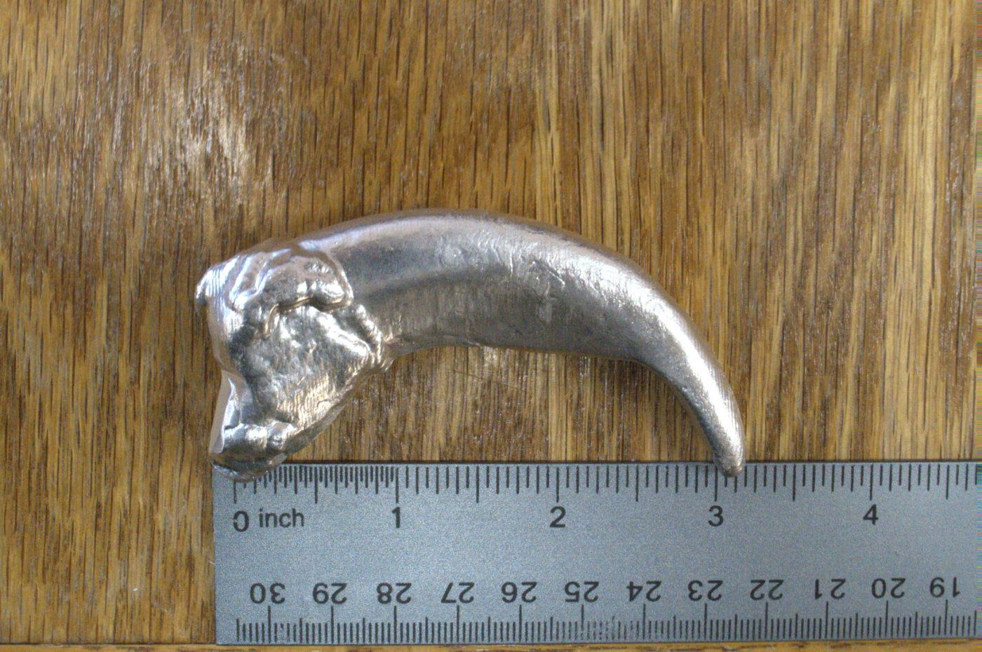 Pure Silver Grizzly Bear Claw - Large - Image 3