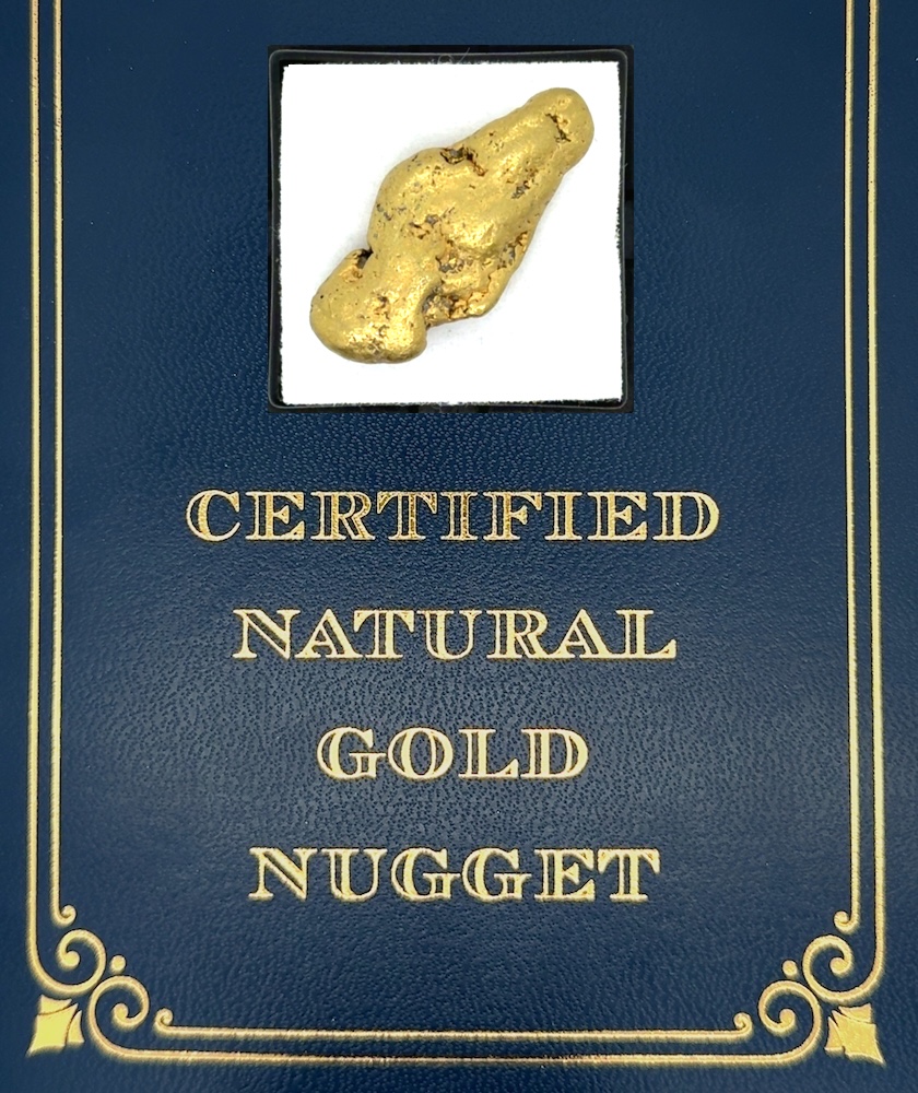 18.7 Gram Natural Gold Nugget from Hunter Creek, Alaska