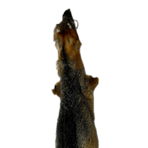 Grey Fox Pelt