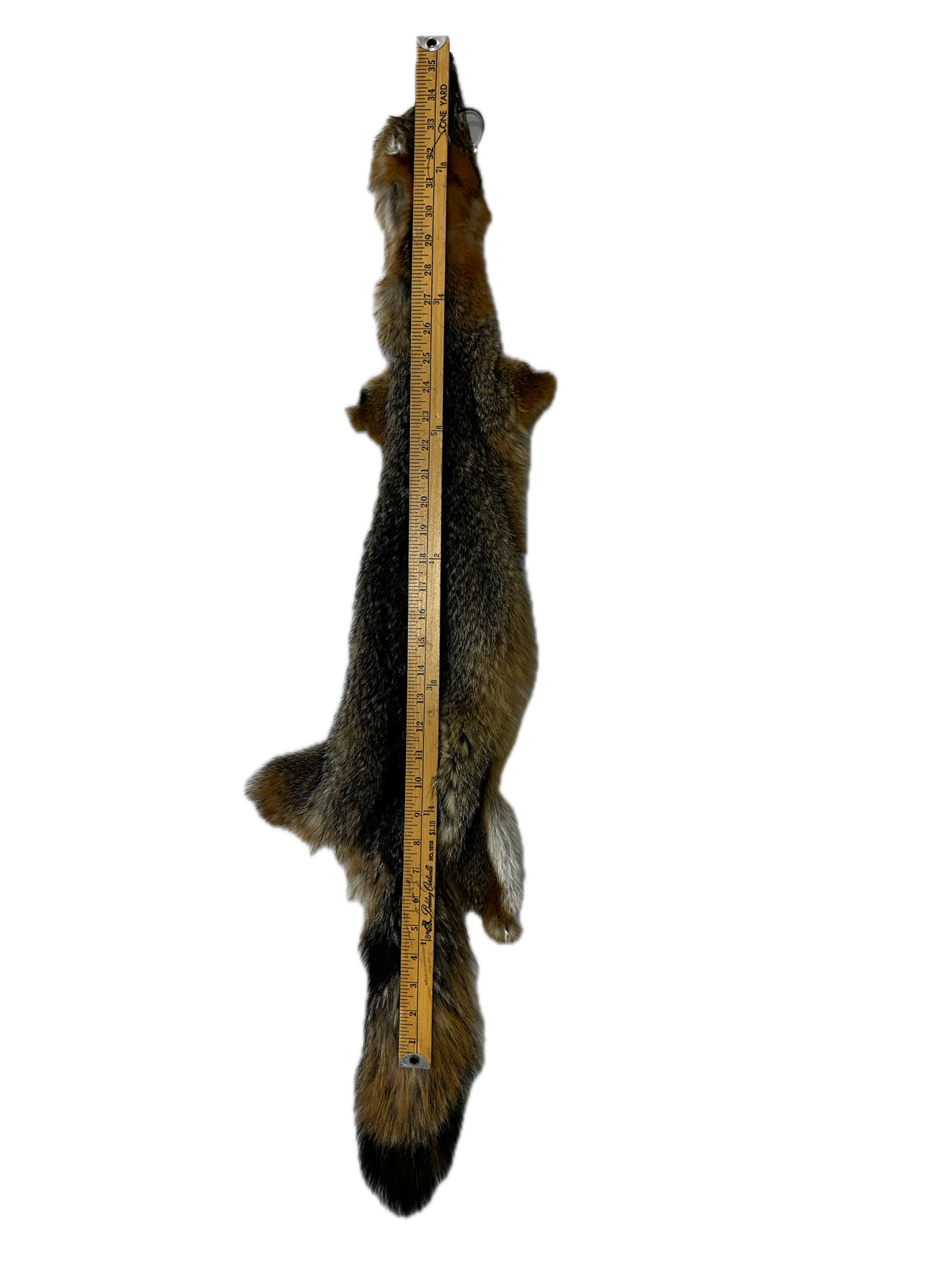 Grey Fox Pelt - Image 4