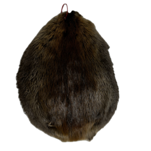 Small Beaver Pelt