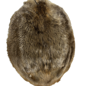 Large Beaver Pelt