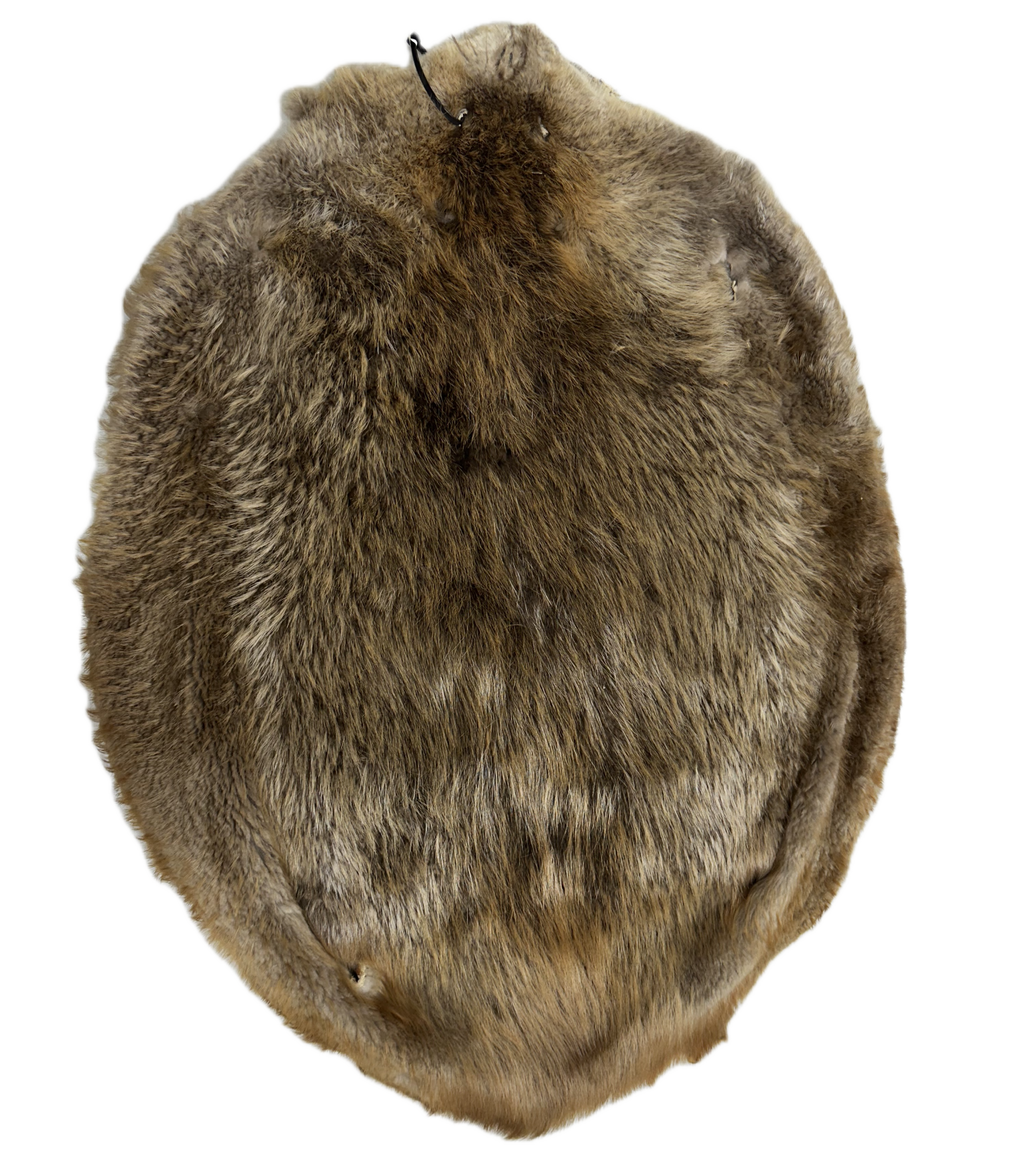 Large Beaver Pelt