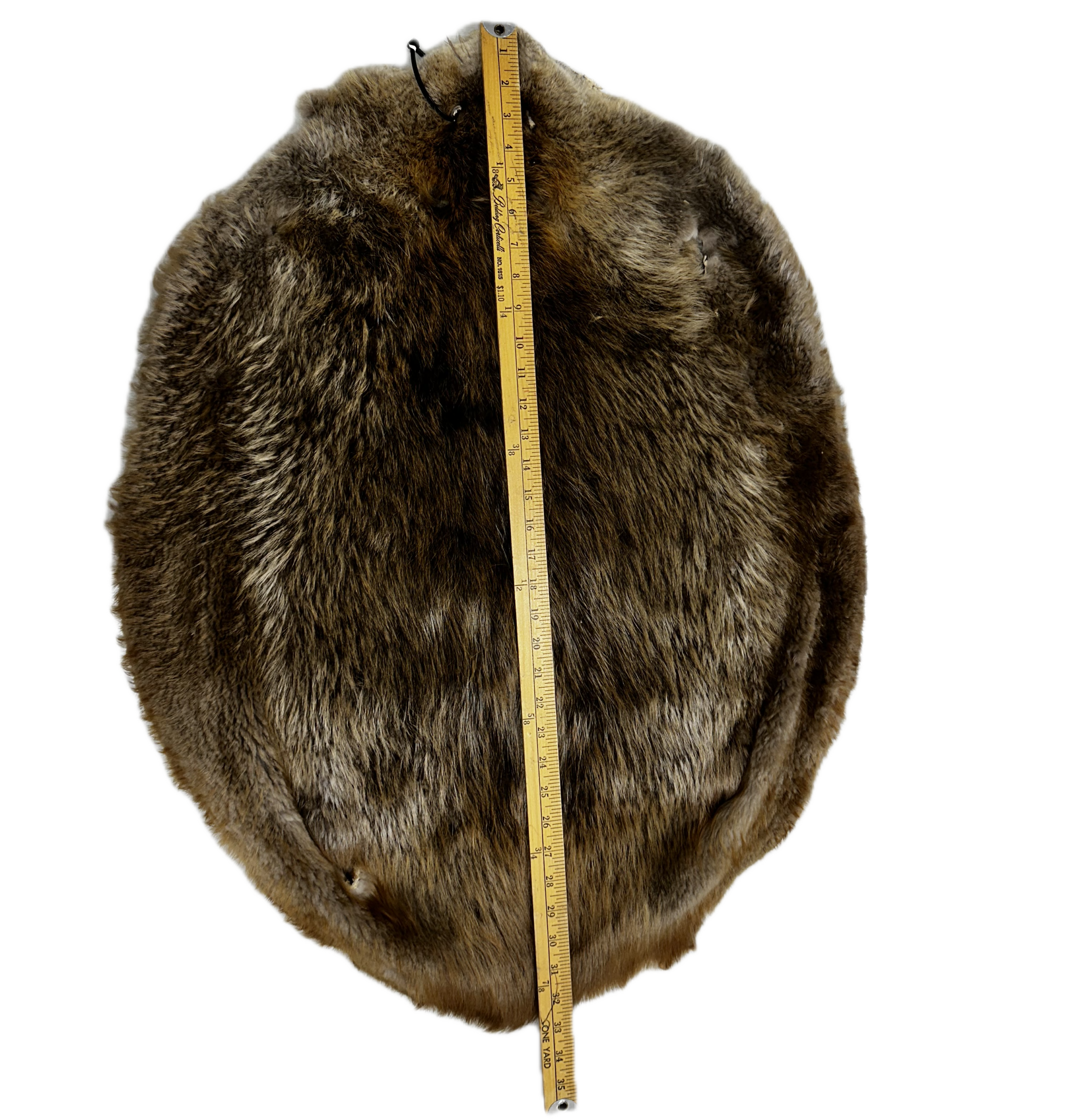 Large Beaver Pelt - Image 3